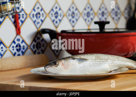 Gestreifte Meerbarbe Meeräsche enthält Omega-3 Fettsäuren, Vitaminen und Mineralstoffen. Meeräsche auf Platte zum Kochen bereit liegen. Stockfoto