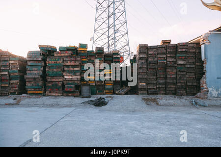 Beijing, China - 21. Dezember 2014: massive bunte Kisten gestapelt auf Holzpaletten in einem Markt. die Paletten gezeigt, der Name des owerns Stockfoto