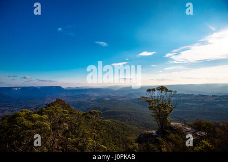 Die Ansicht der Grose River Valley, Blue Mountains, NEW SOUTH WALES von Evans lookount Stockfoto