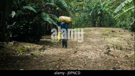 Landwirtschaftliche Arbeiter trägt eine Tasche von Kaffeebohnen und eine Machete auf eine Kaffeefarm Ih Jinotega Nicaragua Stockfoto