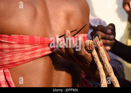 Anhänger-Haken durchbohrt auf Rücken und hängen auf dem Seil Ritual während Charak Puja durchgeführt Stockfoto