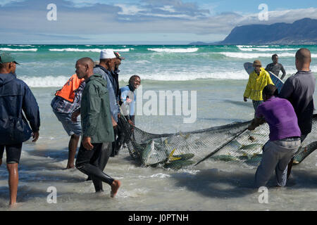 Fischer bringen in die saldierten fangen Muizenberg Beach Kap Halbinsel Cape Town-Südafrika Stockfoto