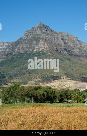 Tafelberg von Mowbray Kapstadt Südafrika Stockfoto