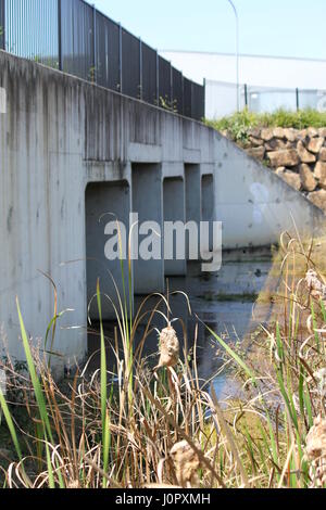 Gully Wasser unter der Brücke in der Nähe von See Stockfoto