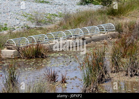 Sturm-Wassereinzugsgebiet im Teich Stockfoto