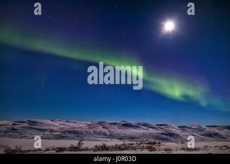 Nordlicht über Kangerlussuaq, Polarkreis, Grönland, Europa Stockfoto