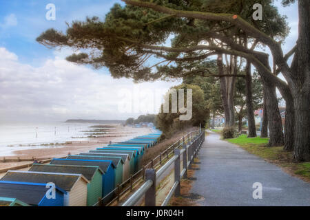 Mudeford, Christchurch, Dorset, England, Vereinigtes Königreich Stockfoto