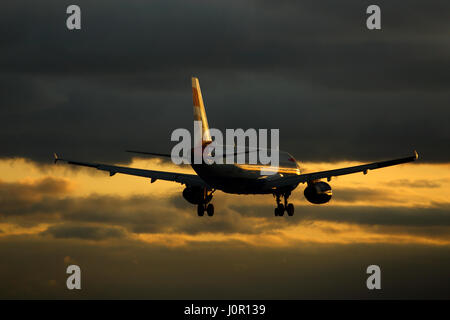 G-EUUE British Airways Airbus A320-200 kN-1782 Ankunft am Flughafen London Heathrow bei Sonnenuntergang in goldenes Licht Stockfoto