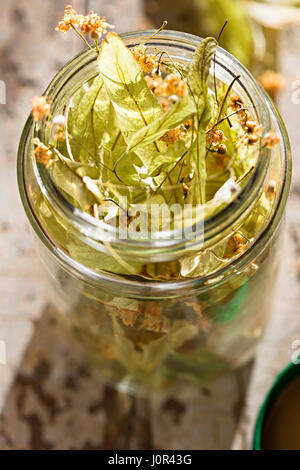 Linden Tee Blätter Blumen, in den jar Stockfoto