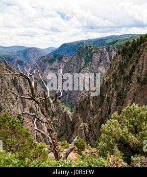 Black Canyon des Gunnison National Park. Colorado Stockfoto