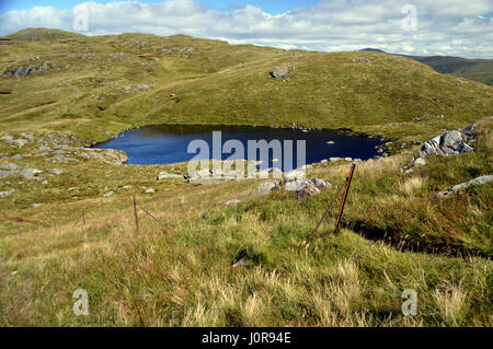 Rosty Fence Posts in der Nähe von Loch nan Corp am Northern Ridge des Scottish Mountain Corbett Ben Ledi im Trossachs National Park, Scottish Highlands. Stockfoto