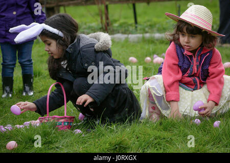 Vancouver, Kanada. 15. April 2017. Kinder suchen nach Eiern während der jährlichen Easter Egg Hunt Veranstaltung im Van Dusen Botanical Garden in Vancouver, Kanada, 15. April 2017. Bewohner und Kinder folgten die Tradition hier am Samstag durch die Teilnahme an der 9. jährliche Ei Jagd-Veranstaltung im Van Dusen botanischen Garten, das Osterfest zu feiern. Bildnachweis: Liang Sen/Xinhua/Alamy Live-Nachrichten Stockfoto