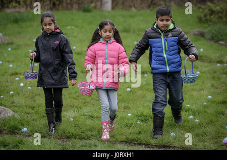 Vancouver, Kanada. 15. April 2017. Kinder suchen nach Eiern während der jährlichen Easter Egg Hunt Veranstaltung im Van Dusen Botanical Garden in Vancouver, Kanada, 15. April 2017. Bewohner und Kinder folgten die Tradition hier am Samstag durch die Teilnahme an der 9. jährliche Ei Jagd-Veranstaltung im Van Dusen botanischen Garten, das Osterfest zu feiern. Bildnachweis: Liang Sen/Xinhua/Alamy Live-Nachrichten Stockfoto