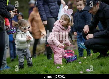 Vancouver, Kanada. 15. April 2017. Kinder suchen nach Eiern während der jährlichen Easter Egg Hunt Veranstaltung im Van Dusen Botanical Garden in Vancouver, Kanada, 15. April 2017. Bewohner und Kinder folgten die Tradition hier am Samstag durch die Teilnahme an der 9. jährliche Ei Jagd-Veranstaltung im Van Dusen botanischen Garten, das Osterfest zu feiern. Bildnachweis: Liang Sen/Xinhua/Alamy Live-Nachrichten Stockfoto