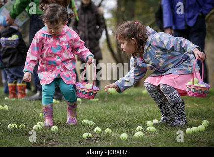 Vancouver, Kanada. 15. April 2017. Kinder suchen nach Eiern während der jährlichen Easter Egg Hunt Veranstaltung im Van Dusen Botanical Garden in Vancouver, Kanada, 15. April 2017. Bewohner und Kinder folgten die Tradition hier am Samstag durch die Teilnahme an der 9. jährliche Ei Jagd-Veranstaltung im Van Dusen botanischen Garten, das Osterfest zu feiern. Bildnachweis: Liang Sen/Xinhua/Alamy Live-Nachrichten Stockfoto