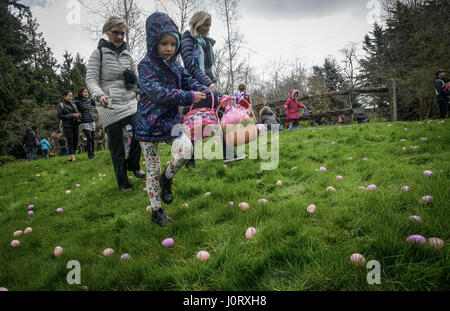 Vancouver, Kanada. 15. April 2017. Kinder suchen nach Eiern während der jährlichen Easter Egg Hunt Veranstaltung im Van Dusen Botanical Garden in Vancouver, Kanada, 15. April 2017. Bewohner und Kinder folgten die Tradition hier am Samstag durch die Teilnahme an der 9. jährliche Ei Jagd-Veranstaltung im Van Dusen botanischen Garten, das Osterfest zu feiern. Bildnachweis: Liang Sen/Xinhua/Alamy Live-Nachrichten Stockfoto