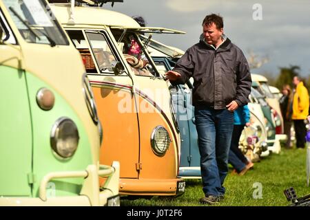 Oswestry, Shropshire, UK. 16. April 2017. Besucher BusTypes 2017 Volkswagen Wohnmobil Festival in Oswestry nehmen einen Blick auf die schöne Linie des kultigen Klassiker "splitty" geteilten Bildschirm VW Camper auf dem Display in der warmen Sonne vor dem Regen inmitten Kredit: Keith Morris/Alamy Live-Nachrichten Stockfoto