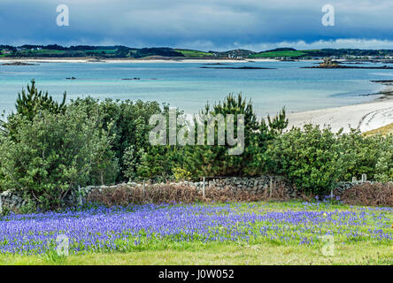 Blick von St Martins, Tresco in die Isles of Scilly Frühjahr 2017 Stockfoto