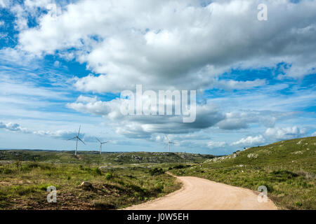 Windmühlen auf der Sierra Carape im Departamento Maldonado, Uruguay Stockfoto