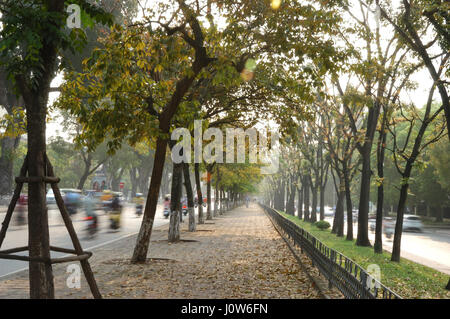 Friedlich und bunt gefüttert Bäume Weg in der sich wandelnden Zeit der Saison in Hanoi, Vietnam, Asien Stockfoto