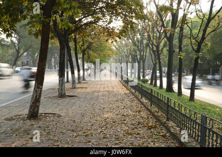 Friedlich und bunt gefüttert Bäume Weg in der sich wandelnden Zeit der Saison in Hanoi, Vietnam, Asien Stockfoto