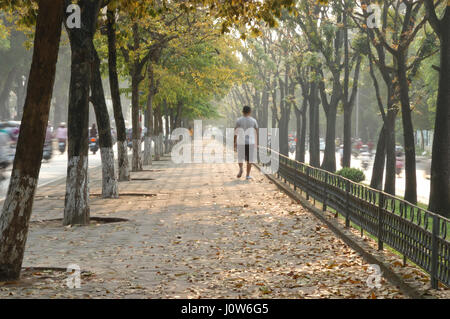 Friedlich und bunt gefüttert Bäume Weg in der sich wandelnden Zeit der Saison in Hanoi, Vietnam, Asien Stockfoto