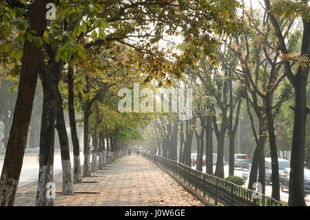 Friedlich und bunt gefüttert Bäume Weg in der sich wandelnden Zeit der Saison in Hanoi, Vietnam, Asien Stockfoto