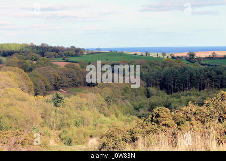 Devon-Landseite Stockfoto