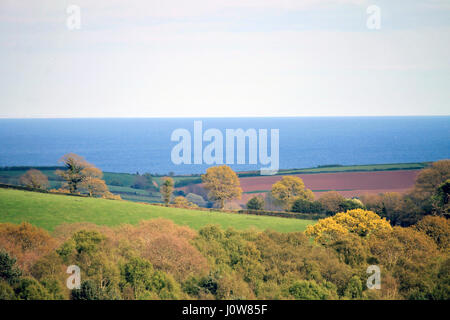 Devon-Landseite Stockfoto