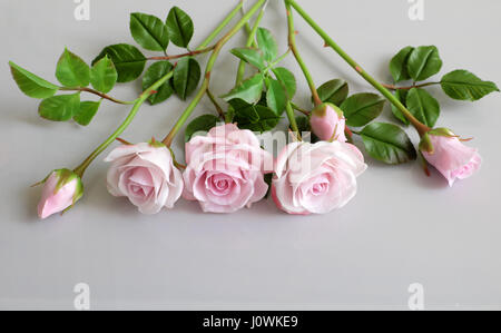 Wunderbare Ton Kunst mit rosa Rosen blühen letzter auf weißem Hintergrund, schöne künstliche Blumen von Handwerkskunst mit geschickten Stockfoto