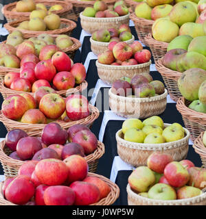 Verschiedene Sorten von Essen und Kochen Äpfel auf dem Display an eine englische Herbstmesse Stockfoto