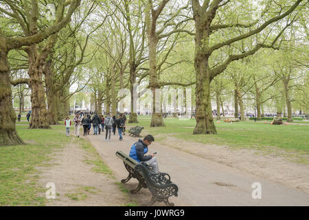 Green Park im Frühjahr, London, UK Stockfoto