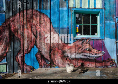 Schwarz-weiße Silkie-Hühner, Gallus gallus domesticus, vor einem farbenfrohen Graffiti-Kunstgemälde eines Fuchs, Bayfield, Ontario, Kanada. Stockfoto