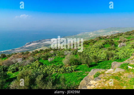 Blick auf den nördlichen Teil des See Genezareth, aus dem Osten, Nord-Israel Stockfoto