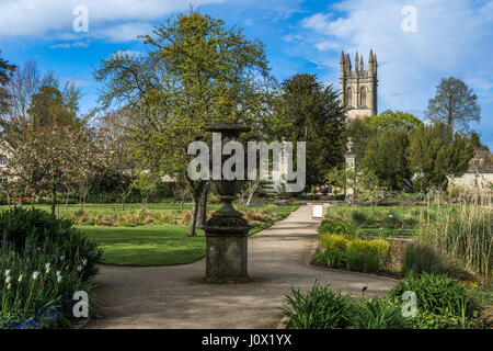 Grüner Rasen und Teich und Bäumen gegen Baum Skyline im Botanischen