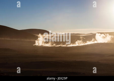 Geysir, Geysir, Sol de Mañana, Bolivien Stockfoto