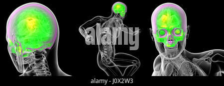 3D Rendering medizinische Illustration des menschlichen sull Stockfoto