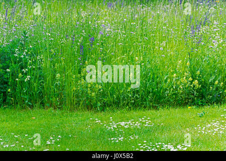 Naturrasen und die abgeschnittenen Rasen Stockfoto
