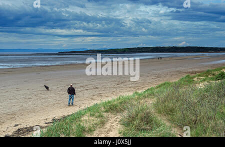 Mann zu Fuß Hund am Kewstoke Sandstrand in der Nähe von Weston-Super-Mare, Somerset Stockfoto