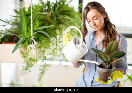 Junge Gärtner in der Orangerie mit Grünpflanzen Stockfoto