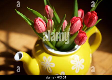 Tulpen Osterzeit in einem gelben Tee Pot Stockfoto