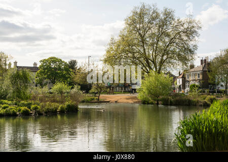 Ein Sommertag im Barnes Pond im Südwesten Londons, England. Stockfoto