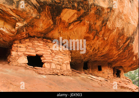 Utah; Cedar Mesa; Mule Canyon; "House on Fire" Ruinen; Anasazi (Pre-Pueblo) Getreidespeicher Ruinen. Stockfoto