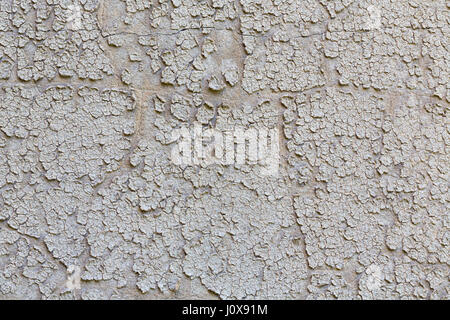 Old Grunge mit peeling Farbe Wand verputzt Stockfoto