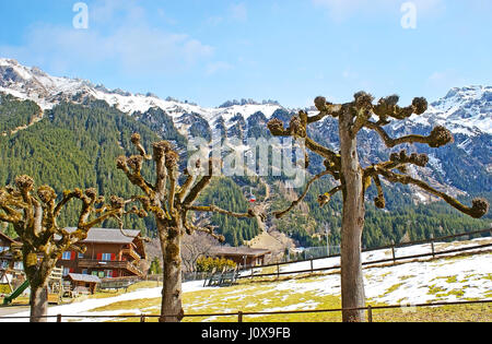 Die rote Straßenbahn der Luftseilbahn Wengen-männlichen gesehen vom grünen Tal mit Schnee bedeckt, Schweiz. Stockfoto