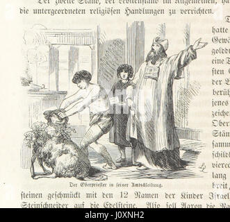 Dieses Bild aus „der Mensch, die Räthsel und Wunder seiner Natur“ zeigt Naturphänomene und menschliche Physiologie in einer wissenschaftlichen Erforschung, wobei Illustrationen die Entdeckungen des Textes unterstützen. Stockfoto