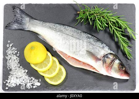 europäischer Wolfsbarsch bereit, Kochen Stockfoto