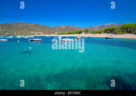 PORTICCIO, Korsika, Frankreich - August 2016 - Mediteranian Korsika mit Pinien, Sandstrand, klarem Wasser Tourquise und Yachten in der Bucht, Corsica, Stockfoto