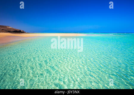 Insel mit Sandstrand, grüne Lagune und klarem Wasser, Mal Nobre, Jandia, Fuerteventura, Kanarische Insel, Spanien. Stockfoto