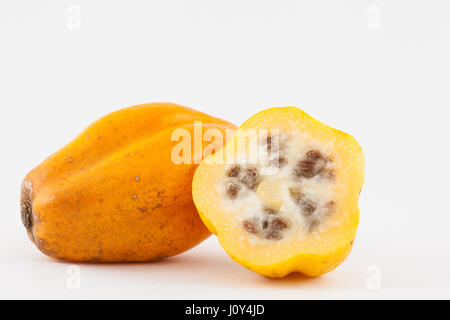 Berg-Papaya (Vasconcellea Pubescens) in weißen Hintergrund isoliert Stockfoto